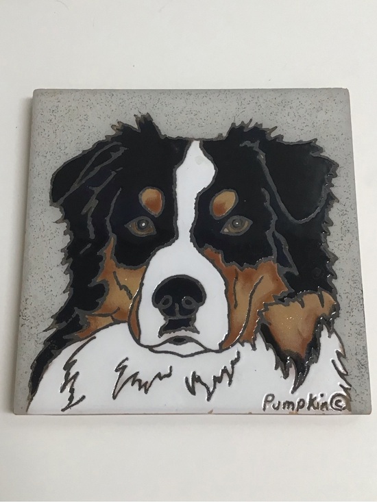 Pumpkin Other - Australian Shepherd Dog Hand Painted Tile by Pumpkin 6x6” Trivet Vintage *NOTE*